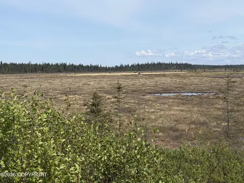 View/Area - 26873 Cloyds Rd, Anchor Point, AK 99556 photo 2 of 5