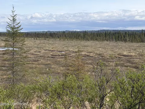 View/Area - 26873 Cloyds Rd, Anchor Point, AK 99556 photo 3 of 5