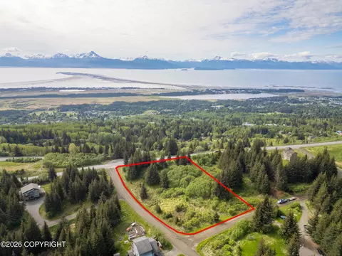 1365 Dons Dr, Homer, AK 99603