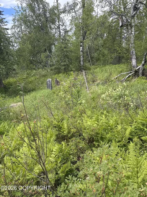 22909 E Rampart Loop, Talkeetna, AK 99676