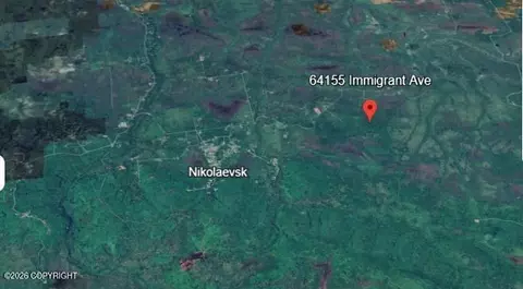 64155 Immigrant Ave, Nikolaevsk, AK 99556