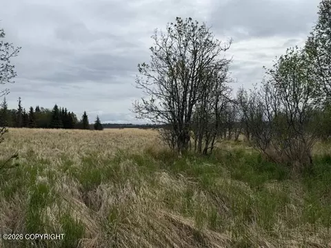 Nhn Early Spring Street, Homer, AK 99603