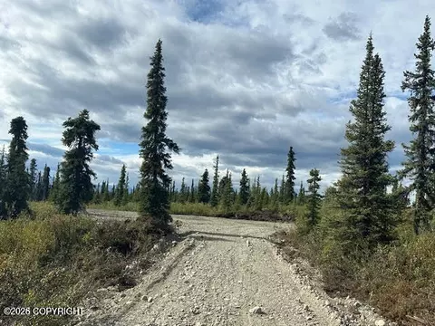 49668 S Timberwolf Rd, Chickaloon, AK 99674