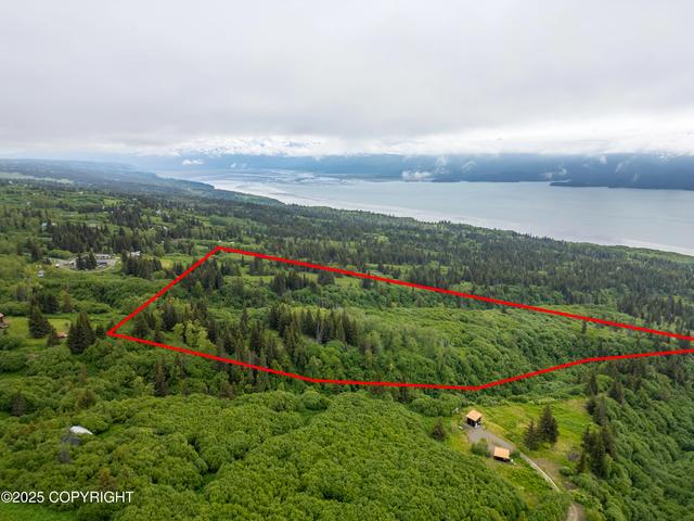 L2 Lupas Avenue, Homer, AK 99603