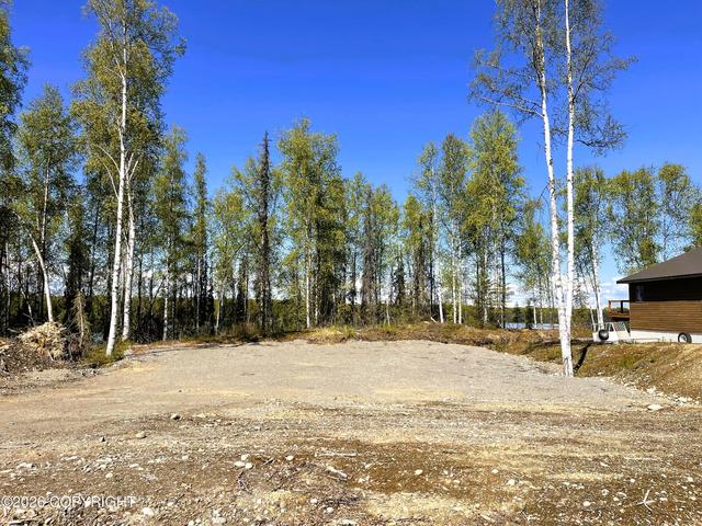 19351 E Caswell Lks Rd, Willow, AK 99688