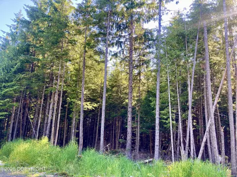 L2 Coffman Highway, Coffman Cove, AK 99918