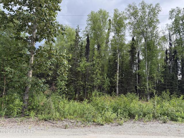 22408 W Susitna Pkwy, Big Lake, AK 99623