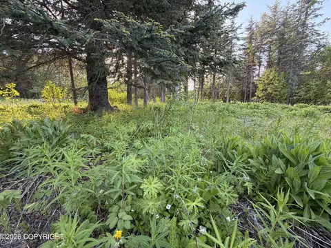 68355 Sunshine Dr, Ninilchik, AK 99639 photo 9