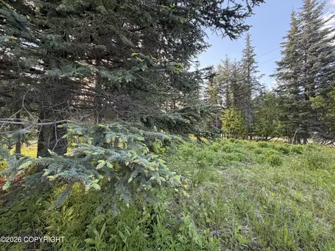 68355 Sunshine Dr, Ninilchik, AK 99639 photo 11