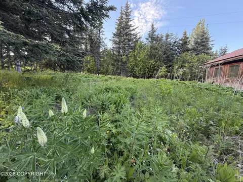 68355 Sunshine Dr, Ninilchik, AK 99639 photo 6