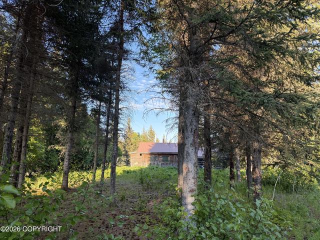 68355 Sunshine Dr, Ninilchik, AK 99639