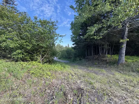 68355 Sunshine Dr, Ninilchik, AK 99639 photo 8