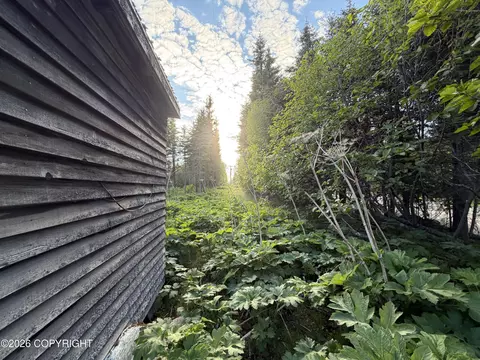 68355 Sunshine Dr, Ninilchik, AK 99639 photo 5