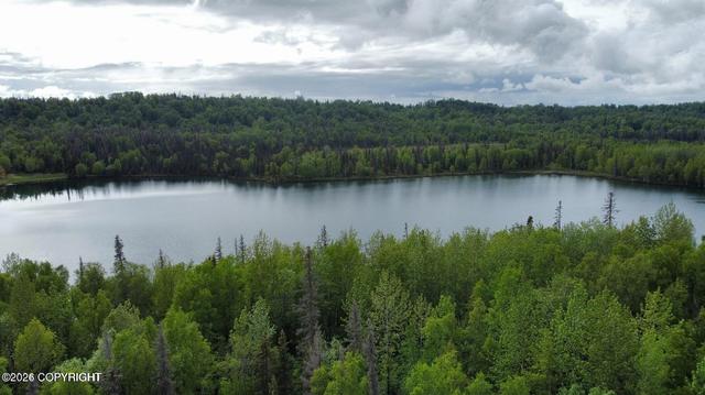 46720 Tauriainen Trl, Nikiskinorth Kenai, AK 99611