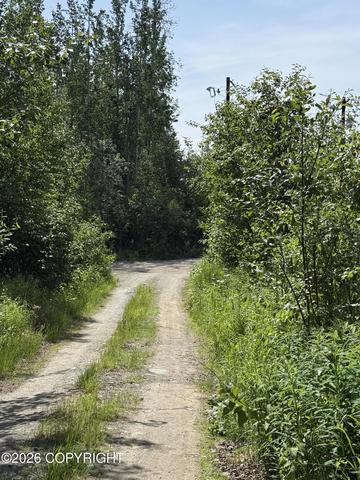 14045 W Aero Ln, Big Lake, AK 99623