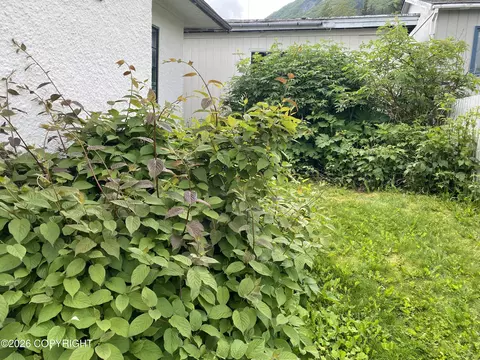 Exterior - 411 Third Ave, Seward, AK 99664 photo 7 of 10