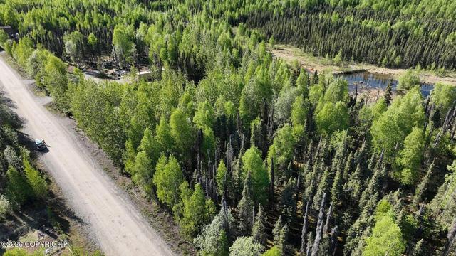 13965 E Susitna Cir, Willow, AK 99688