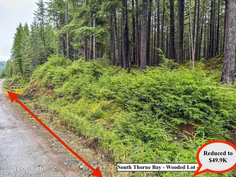 lot10 B18 Steep Rd, Thorne Bay, AK 99919