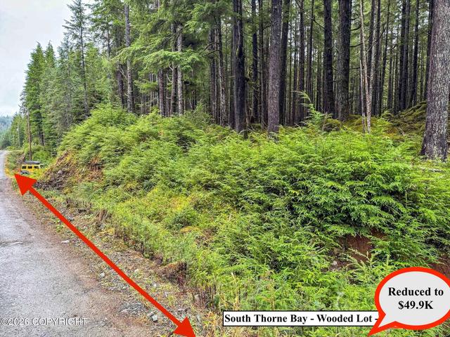 lot10 B18 Steep Rd, Thorne Bay, AK 99919 | MLS# 26-76 | 11 Photos - Movoto