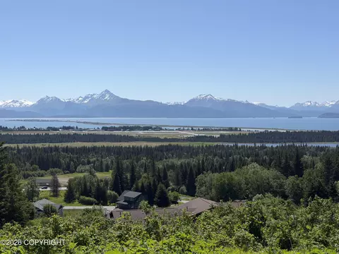 4690 Craftsman Rd, Homer, AK 99603