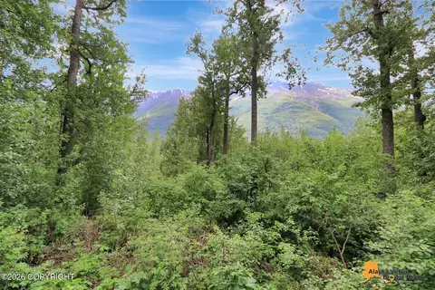 1815 Mount Yukla Cir, Eagle River, AK 99577 photo 42