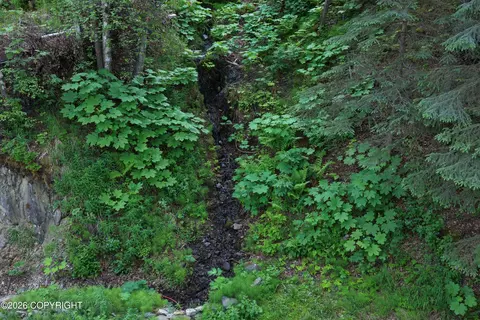 19125 Upper Fish Hatchery Rd, Eagle River, AK 99577 photo 31