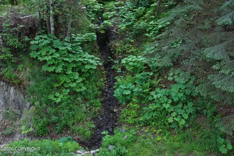 19125 Upper Fish Hatchery Rd, Eagle River, AK 99577 photo 11
