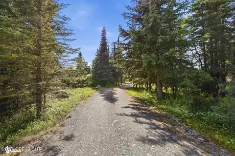 Other - 16389 Easy St, Ninilchik, AK 99639 photo 16 of 17