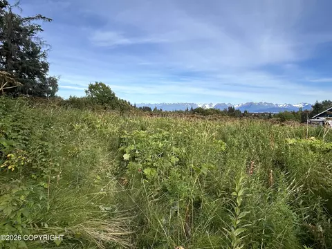 4560 Craftsman Rd, Homer, AK 99603
