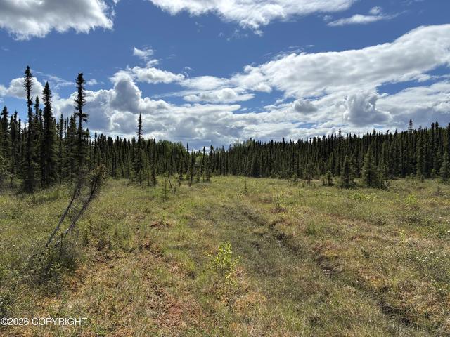 3846 N White Knight Dr, Wasilla, AK 99654