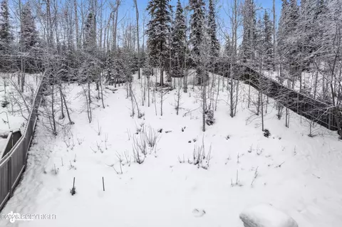 Exterior - 19407 Trail Bay Dr, Eagle River, AK 99577 photo 3 of 8