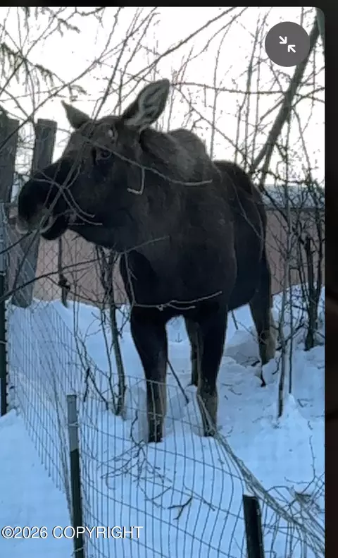 Other - 19050 Twenty Grand Rd, Eagle River, AK 99577 photo 11 of 11