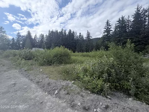 lot S 89 Spruce Grove St, Haines, AK 99827