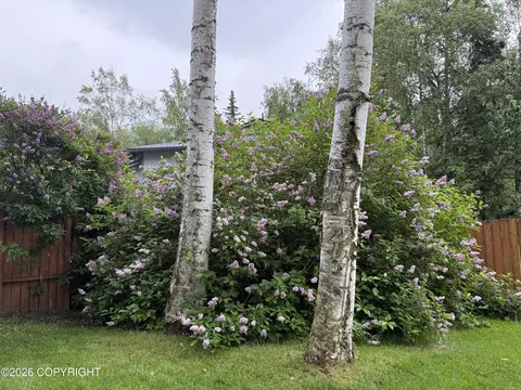 Exterior - 9445 Agattu Cir, Eagle River, AK 99577 photo 12 of 13