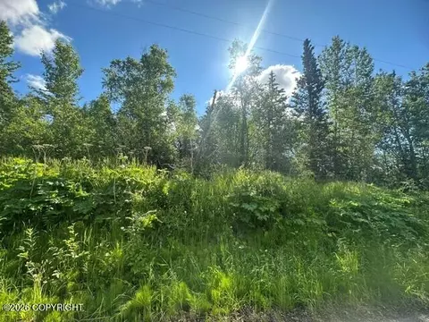 1431 N Branding Iron Ln, Wasilla, AK 99645