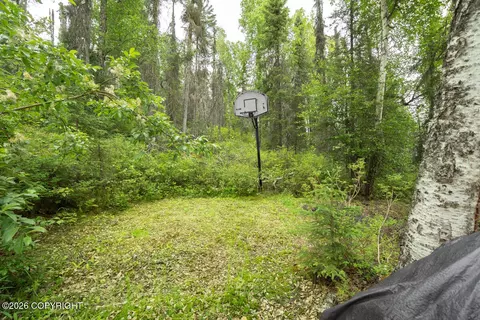Exterior - L1 Nancy Knob, Willow, AK 99688 photo 5 of 7