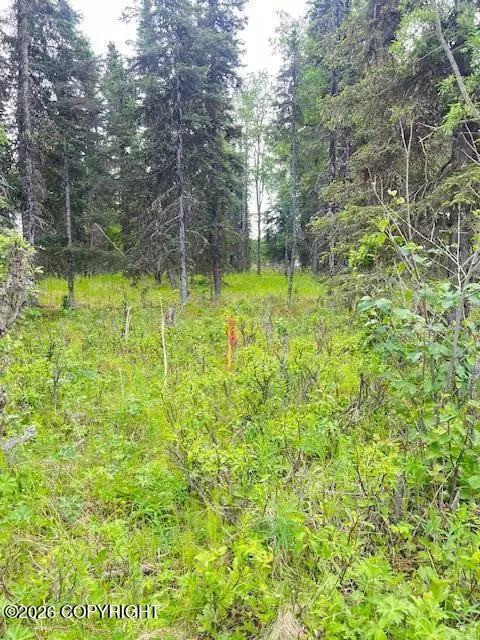L2 Madsen Avenue, Kasilof, AK 99610