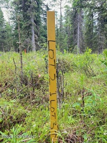 000 Madsen Ave, Kasilof, AK 99610