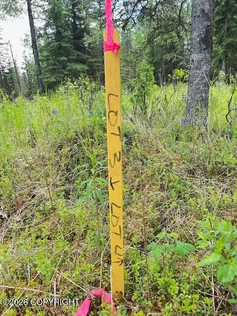 L4 Madsen Avenue, Kasilof, AK 99610