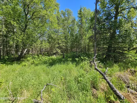 4039 E Harman Loop, Wasilla, AK 99654 photo 7