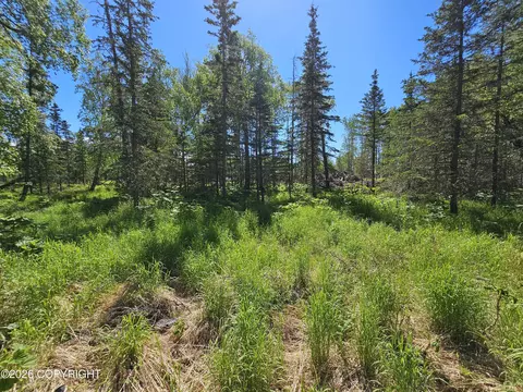 4039 E Harman Loop, Wasilla, AK 99654 photo 6