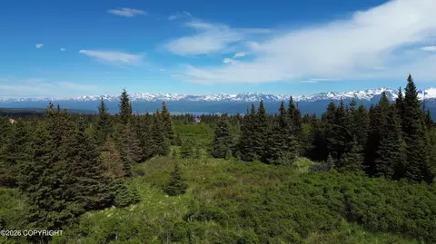 35244 S Upland St, Homer, AK 99603