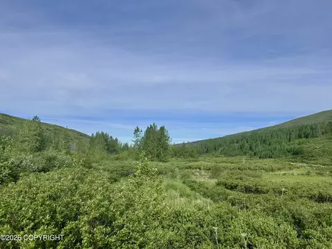 26989 N Willow Fishhook Rd, Willow, AK 99688 photo 14