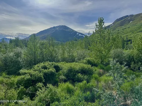 26989 N Willow Fishhook Rd, Willow, AK 99688 photo 16