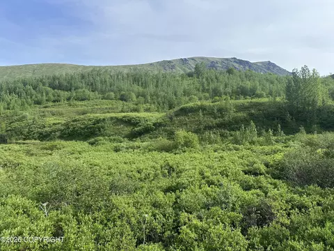 26989 N Willow Fishhook Rd, Willow, AK 99688 photo 17