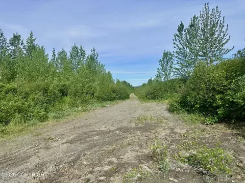 26989 N Willow Fishhook Rd, Willow, AK 99688 photo 12