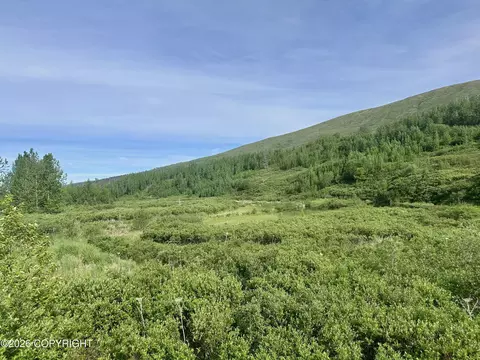 26989 N Willow Fishhook Rd, Willow, AK 99688 photo 15