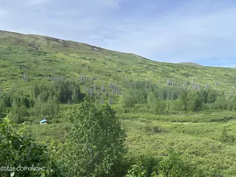26989 N Willow Fishhook Rd, Willow, AK 99688 photo 19