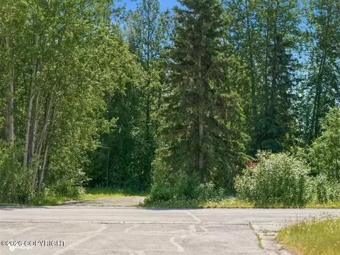 16826 Riddell St, Eagle River, AK 99577 photo 27