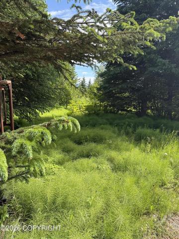 4725 Moon Ln, Homer, AK 99603